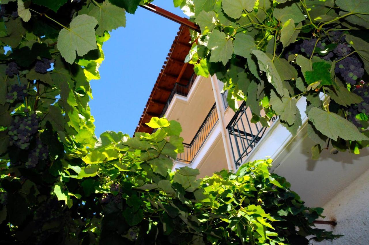 Boutique Hotel Parnassia アラコバ エクステリア 写真